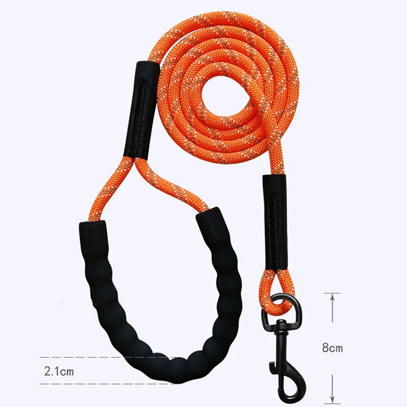 Reflective Long Leash