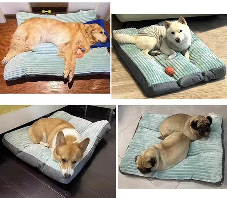 Cozy Winter Dog Bed