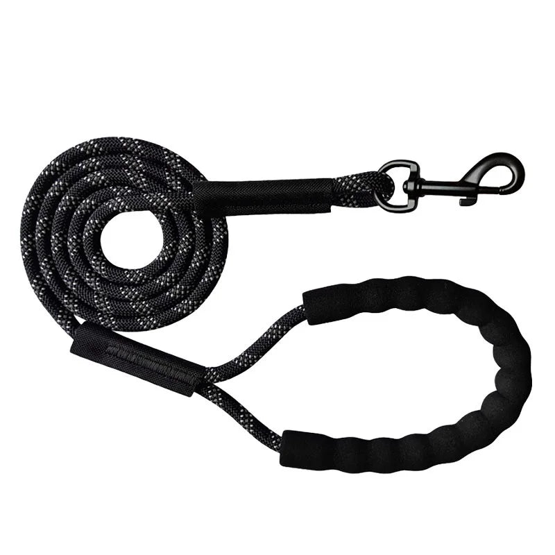 Reflective Long Leash